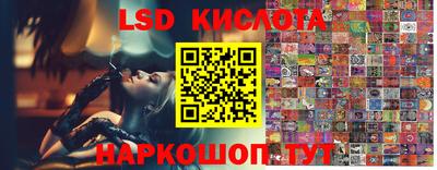 PSILOCYBIN Кингисепп