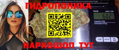 PSILOCYBIN Кингисепп