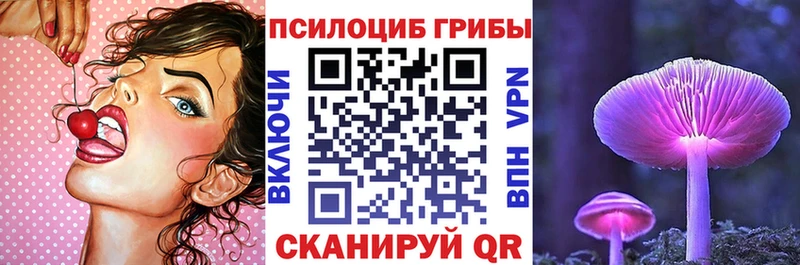 купить наркотики цена Домодедово Галлюциногенные грибы Magic Shrooms